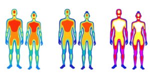 A body composition scan provides a visual representaion of your body.