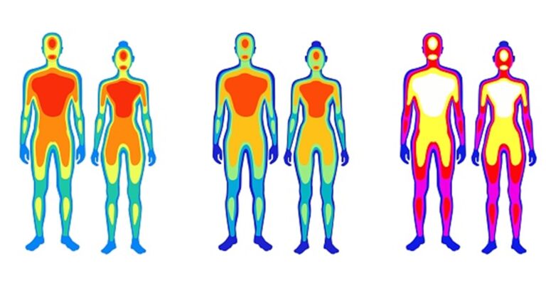 Body Scan: Transform Your Understanding of Fitness